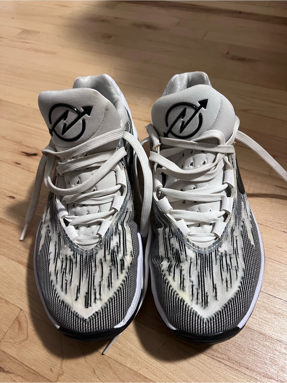 Nike Air Zoom GT Cut 2